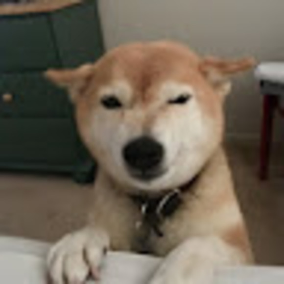 altshimizu